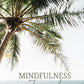 Mindfulness Journey