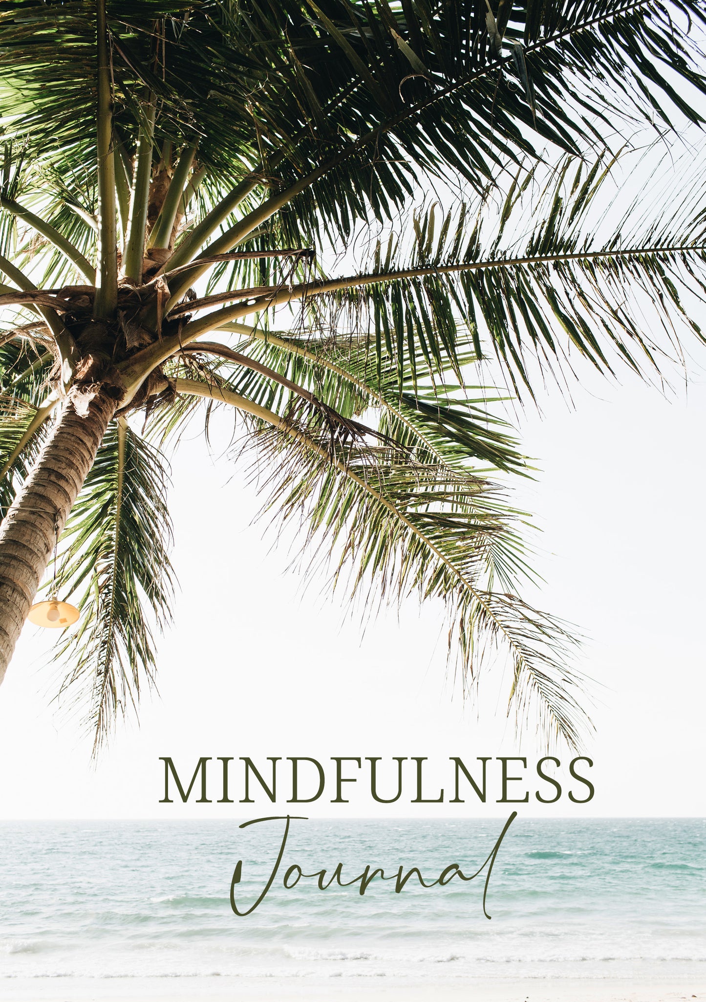 Mindfulness Journey